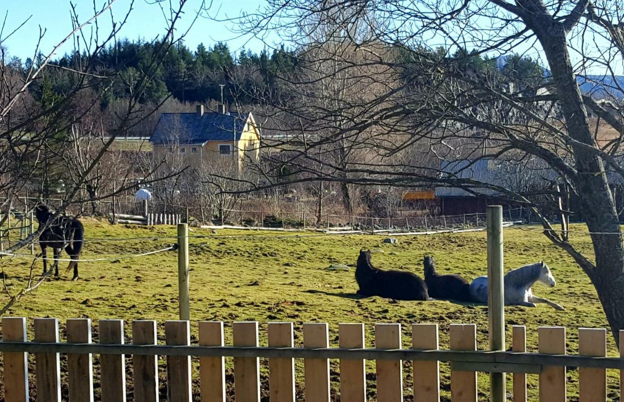 Kjorsvik Ovre Appartement Tornes Buitenkant foto