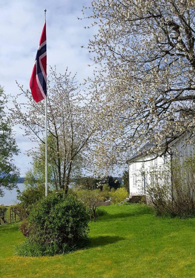 Kjorsvik Ovre Appartement Tornes Buitenkant foto