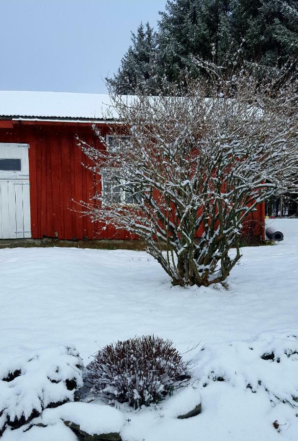 Kjorsvik Ovre Appartement Tornes Buitenkant foto