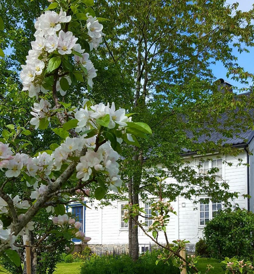 Kjorsvik Ovre Appartement Tornes Buitenkant foto